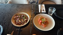 Salmon sashimi and beef tataki
