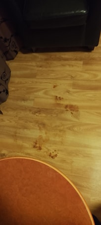 Mörkröda klibbiga flÀckar som inte gick att skrapa bort.