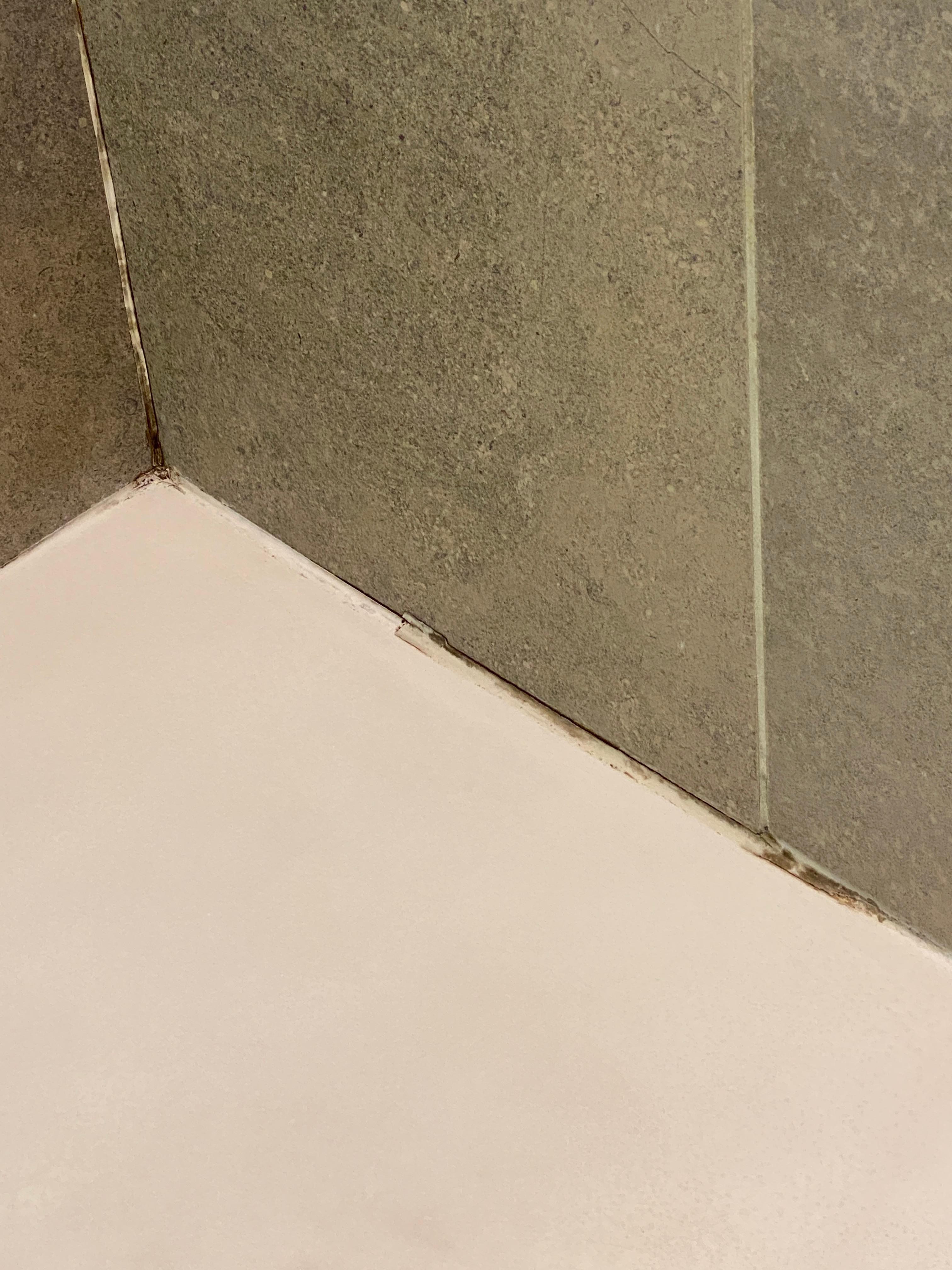 Black mold in shower