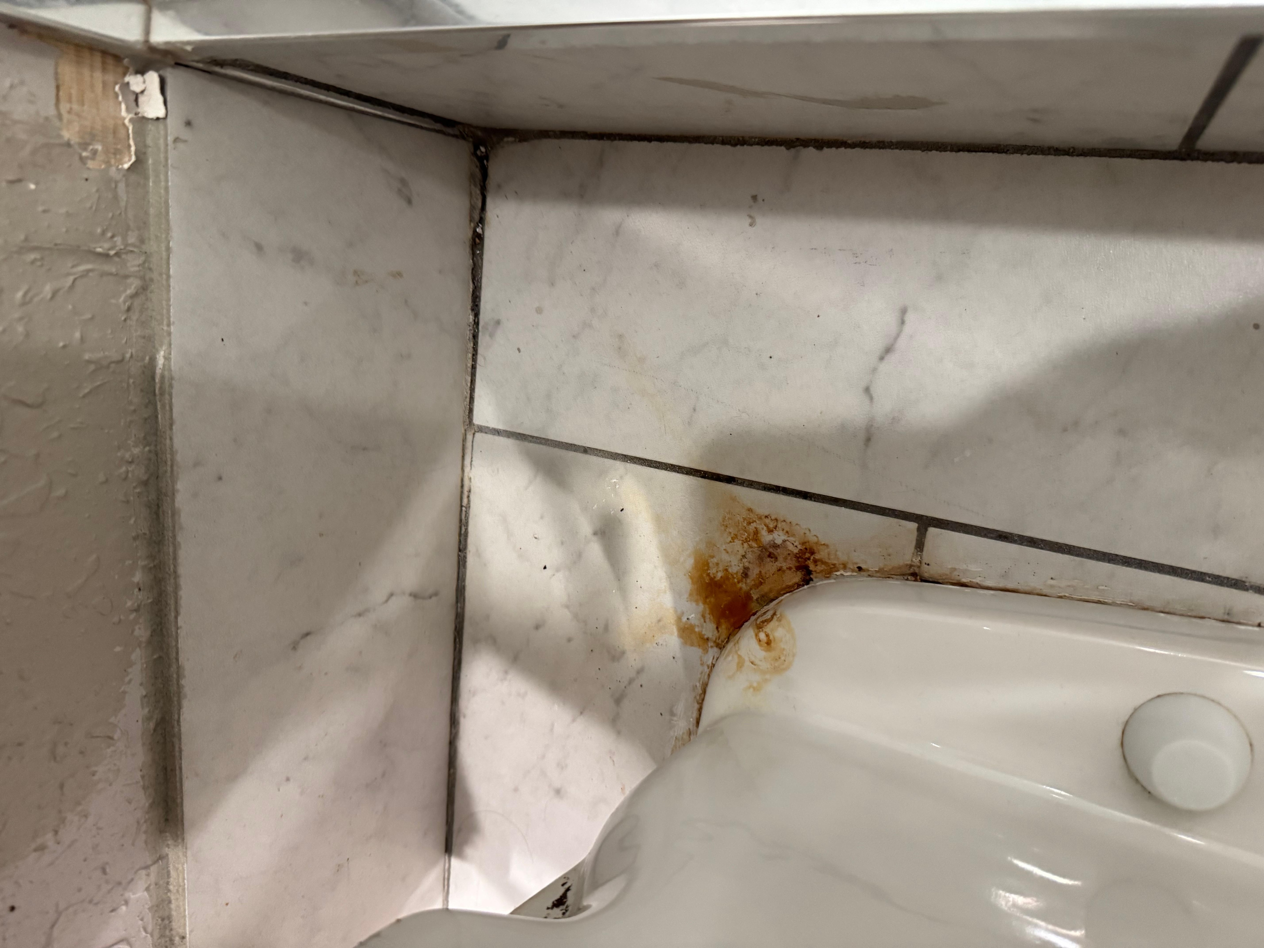 We saw this on the last day or we would have never stayed. 