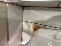 We saw this on the last day or we would have never stayed.