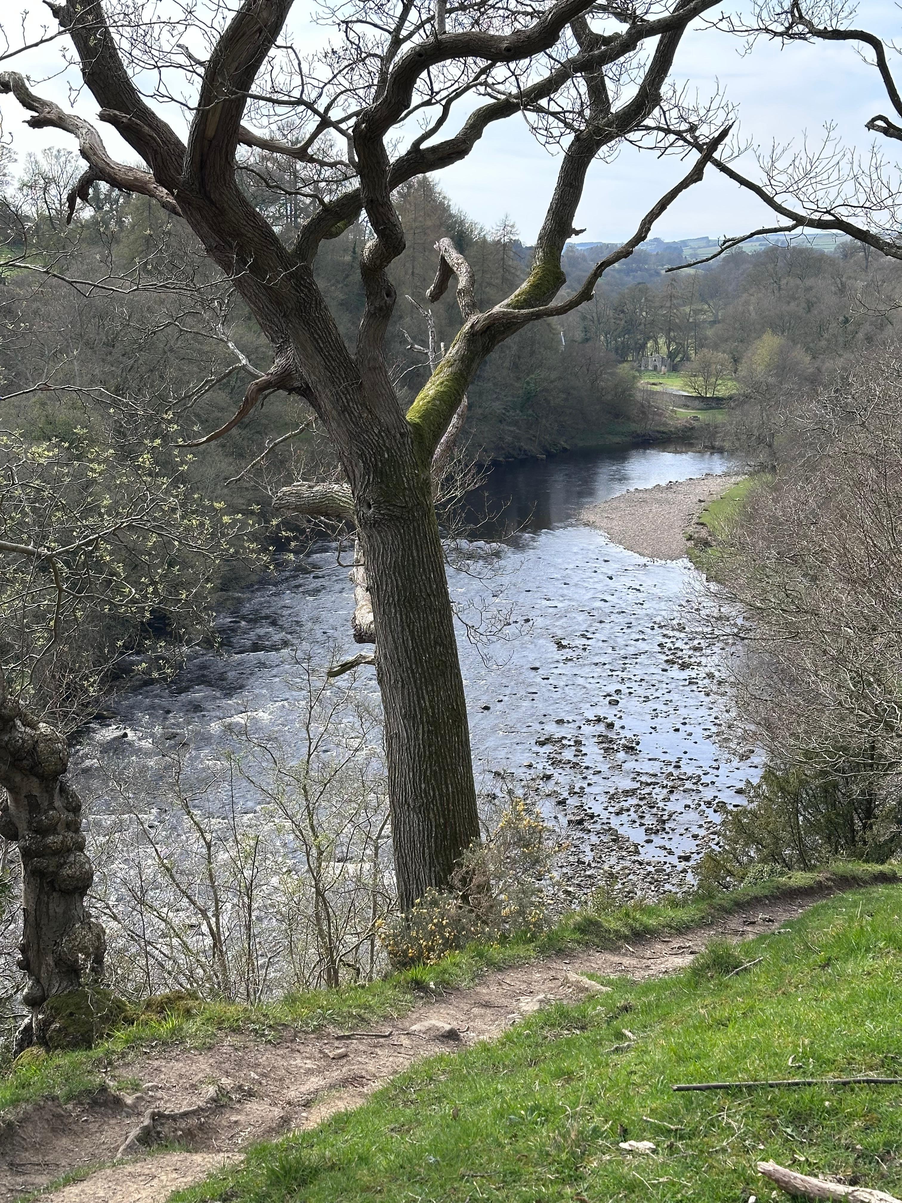 Cotherstone>Barnard Castle, East bank of the Tees