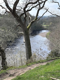 Cotherstone>Barnard Castle, East bank of the Tees