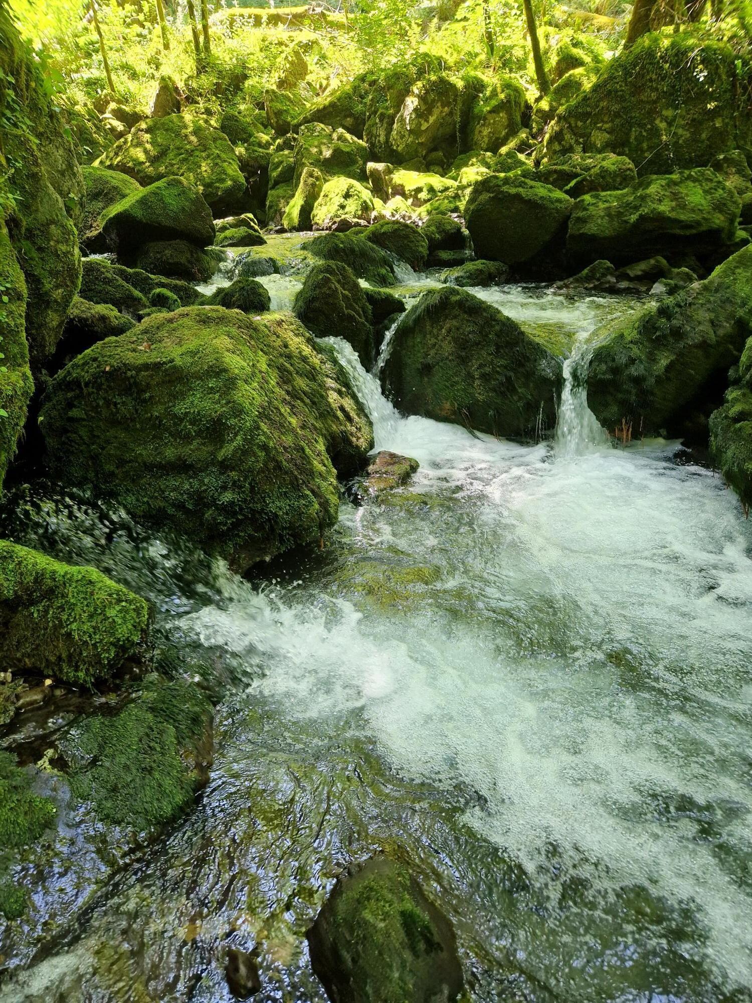Source de la Nive (Karstquelle)
