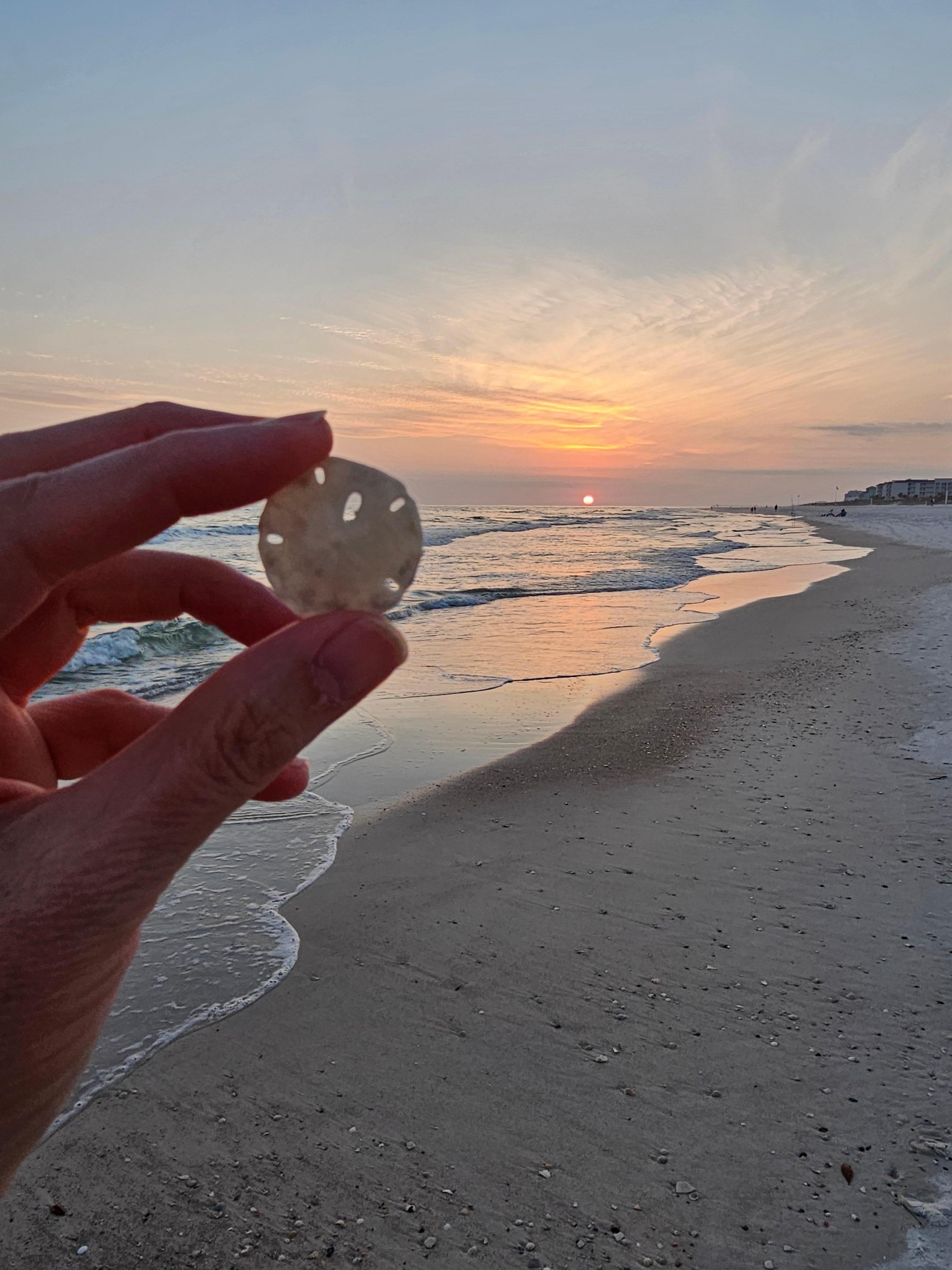 Sunset on the beach in front of the condo. Found a sand dollar.