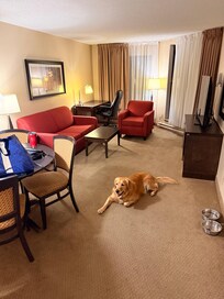 What we got. It was clean. But incredibly stained and dated with uncomfortable furniture and a strong cigarette smell from the vents and the carpet.