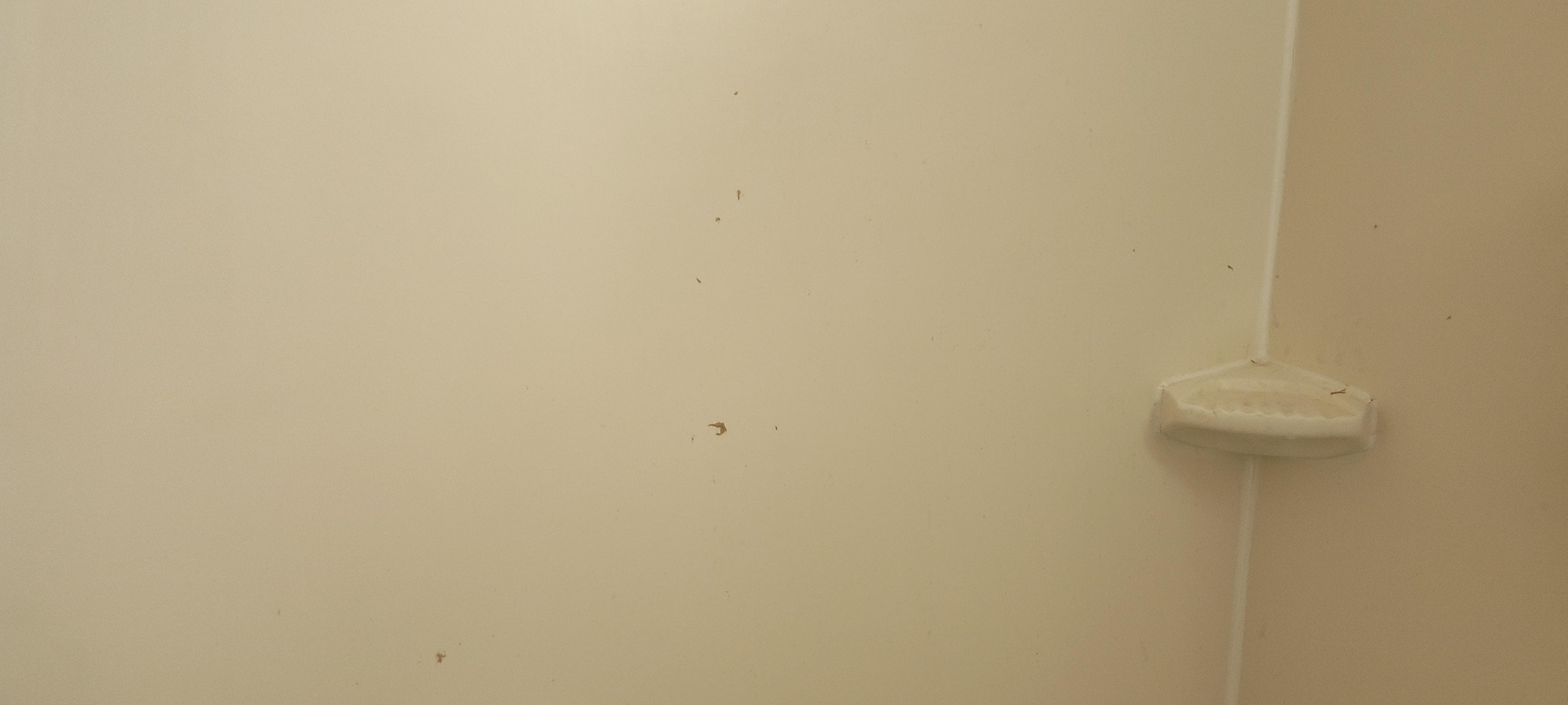 Paper towel left behind after clean