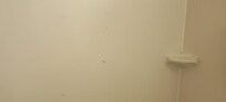 Paper towel left behind after clean