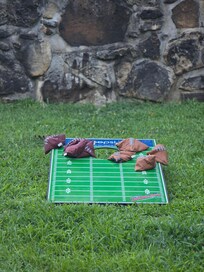 We love cornhole and were so excited to see it was there lol
