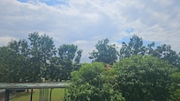 the view from canopy