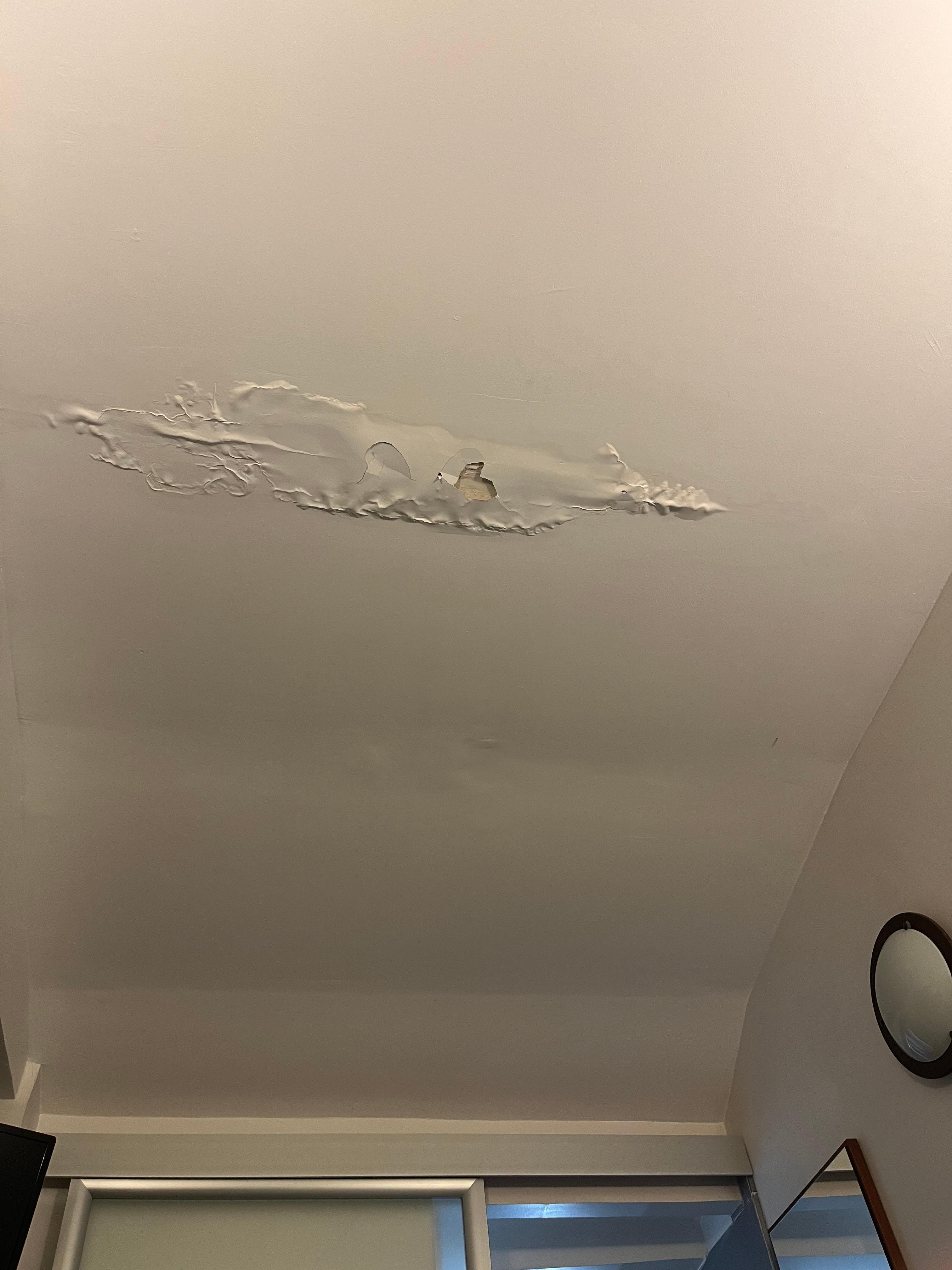 Ceiling damage