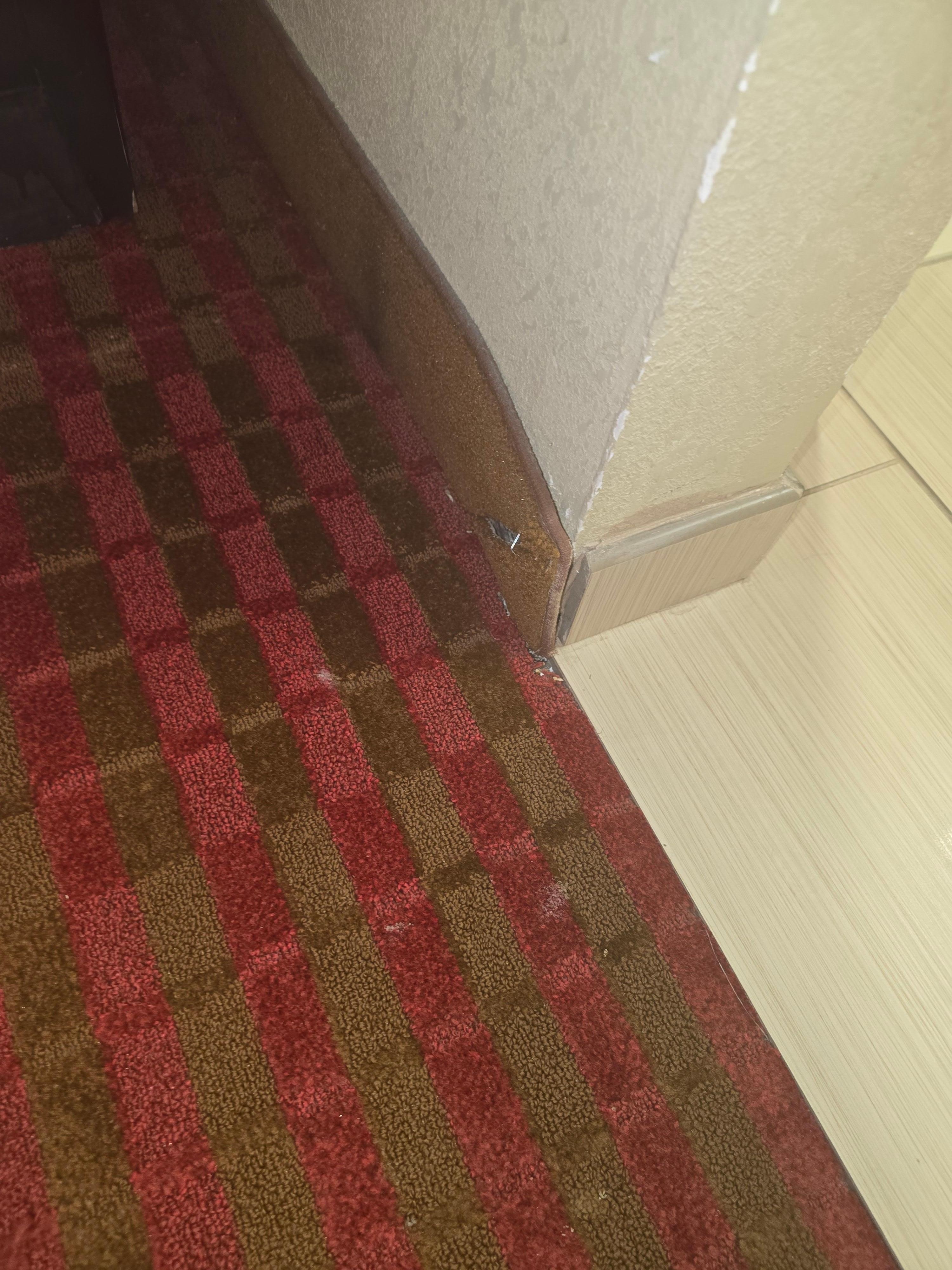 Carpet coming away from wall