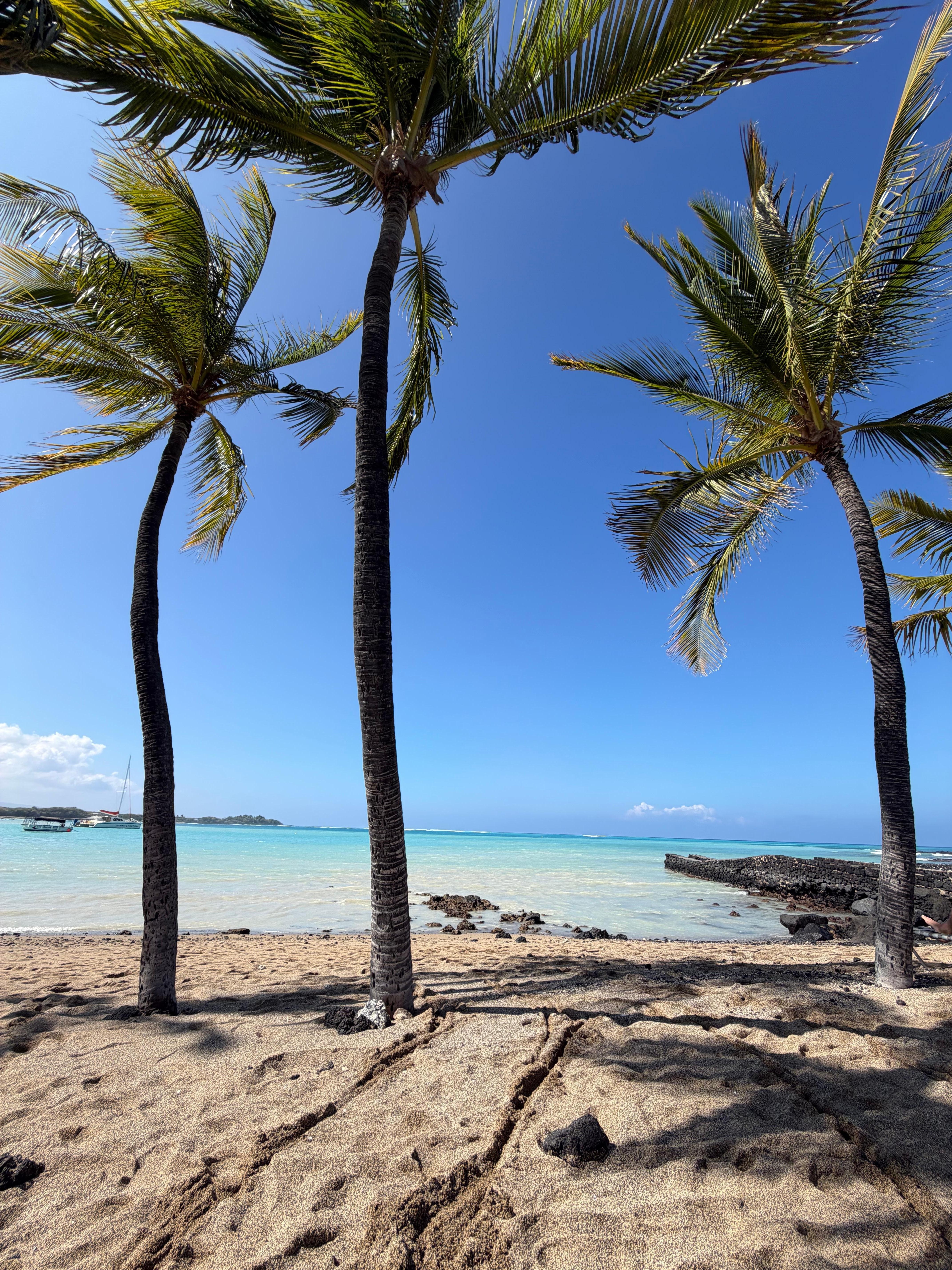 Relaxing at the beach
