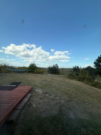 Beautiful yard