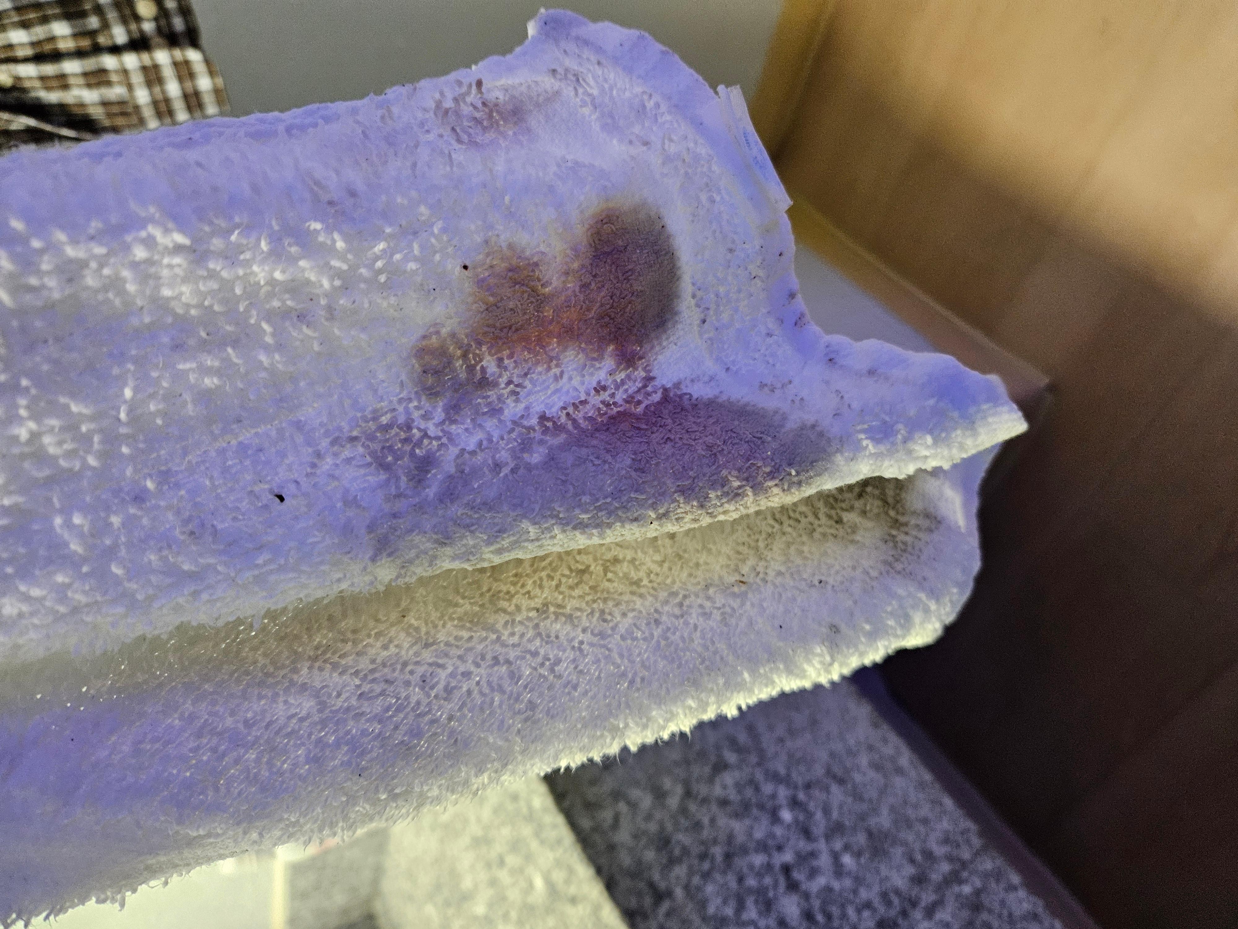 The floor was that dirty, yes..