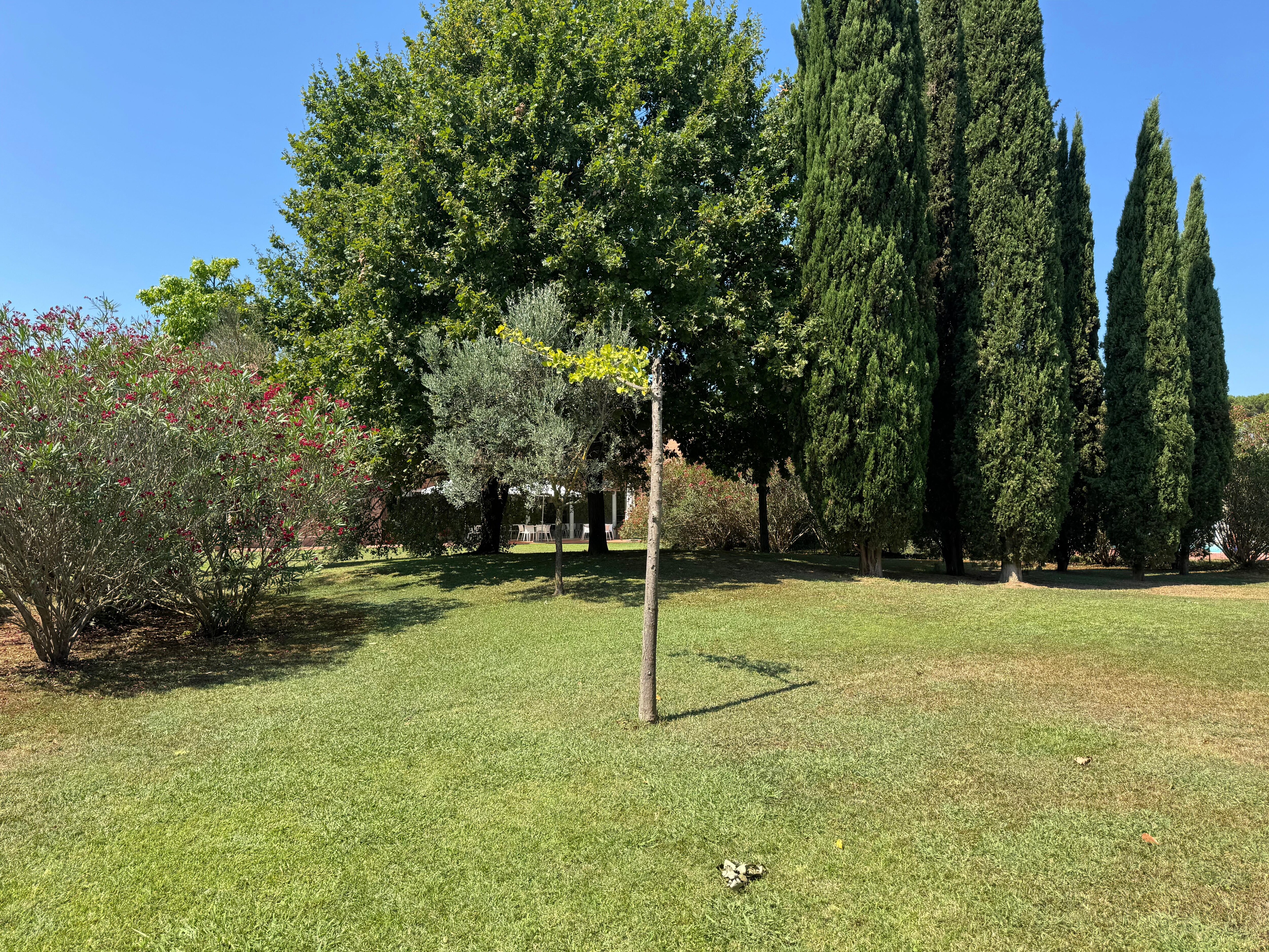 Part of the courtyard