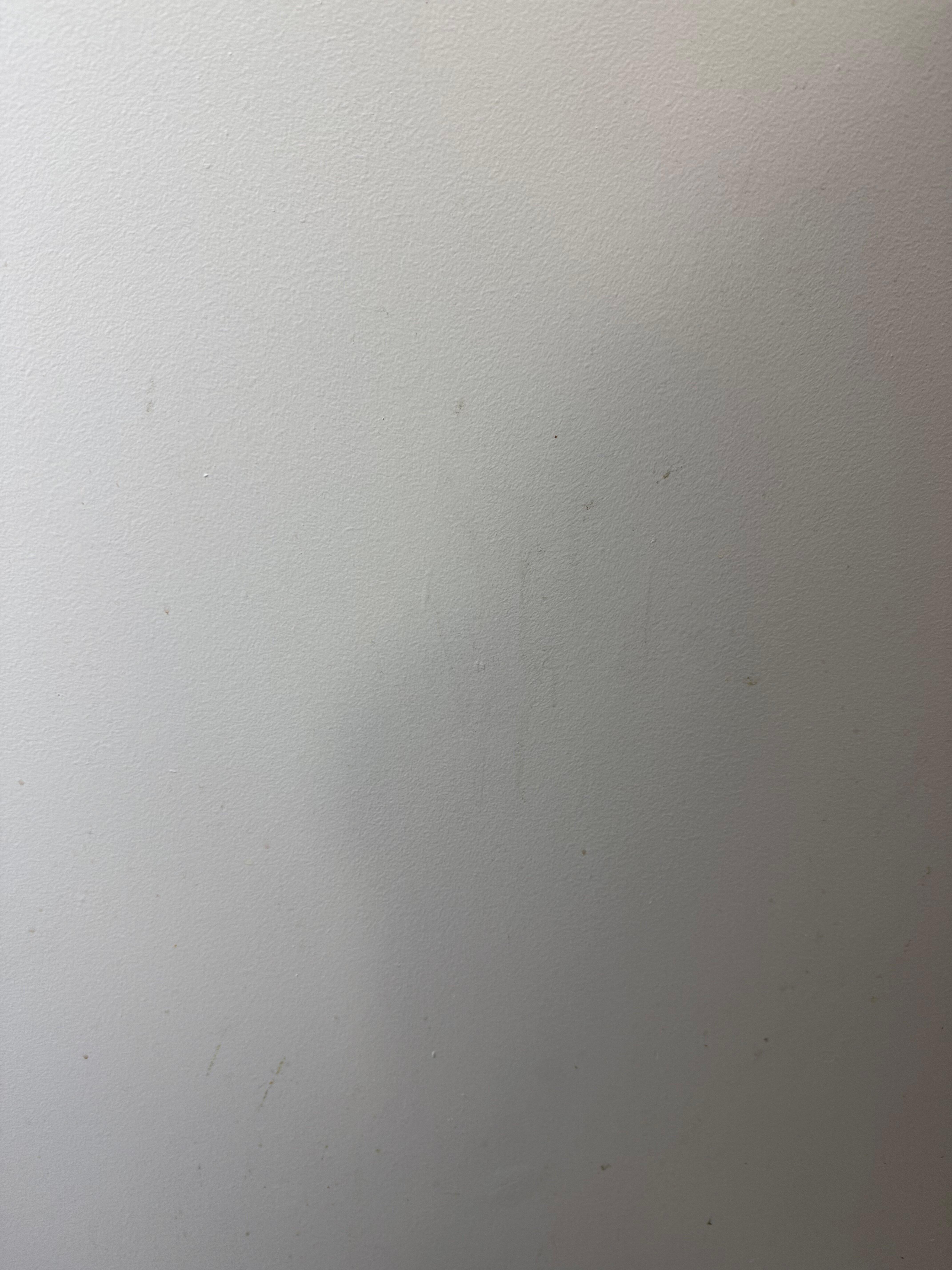 Some kind of "fluid" stains on bathroom door.