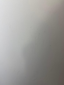 Some kind of "fluid" stains on bathroom door.