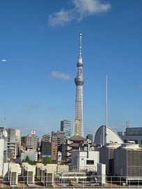 View from lounge