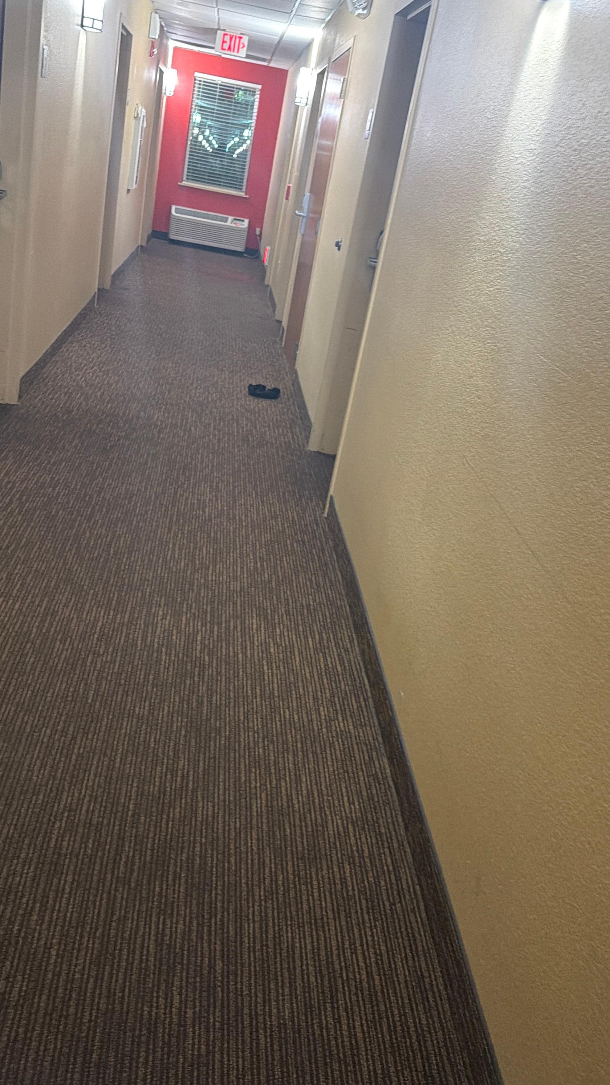 Someone’s underwear 