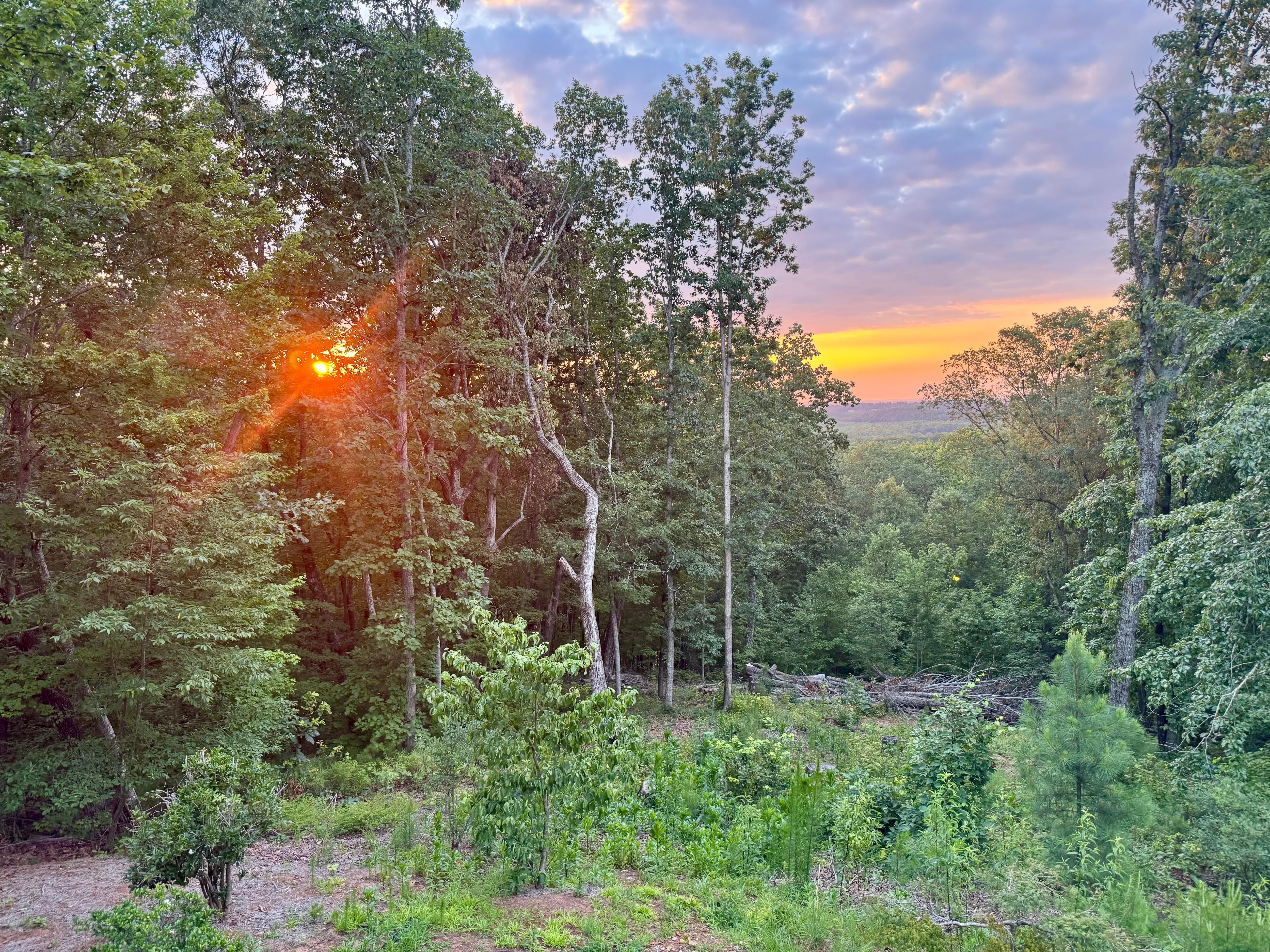 Early morning sunrise from the wrap around balcony