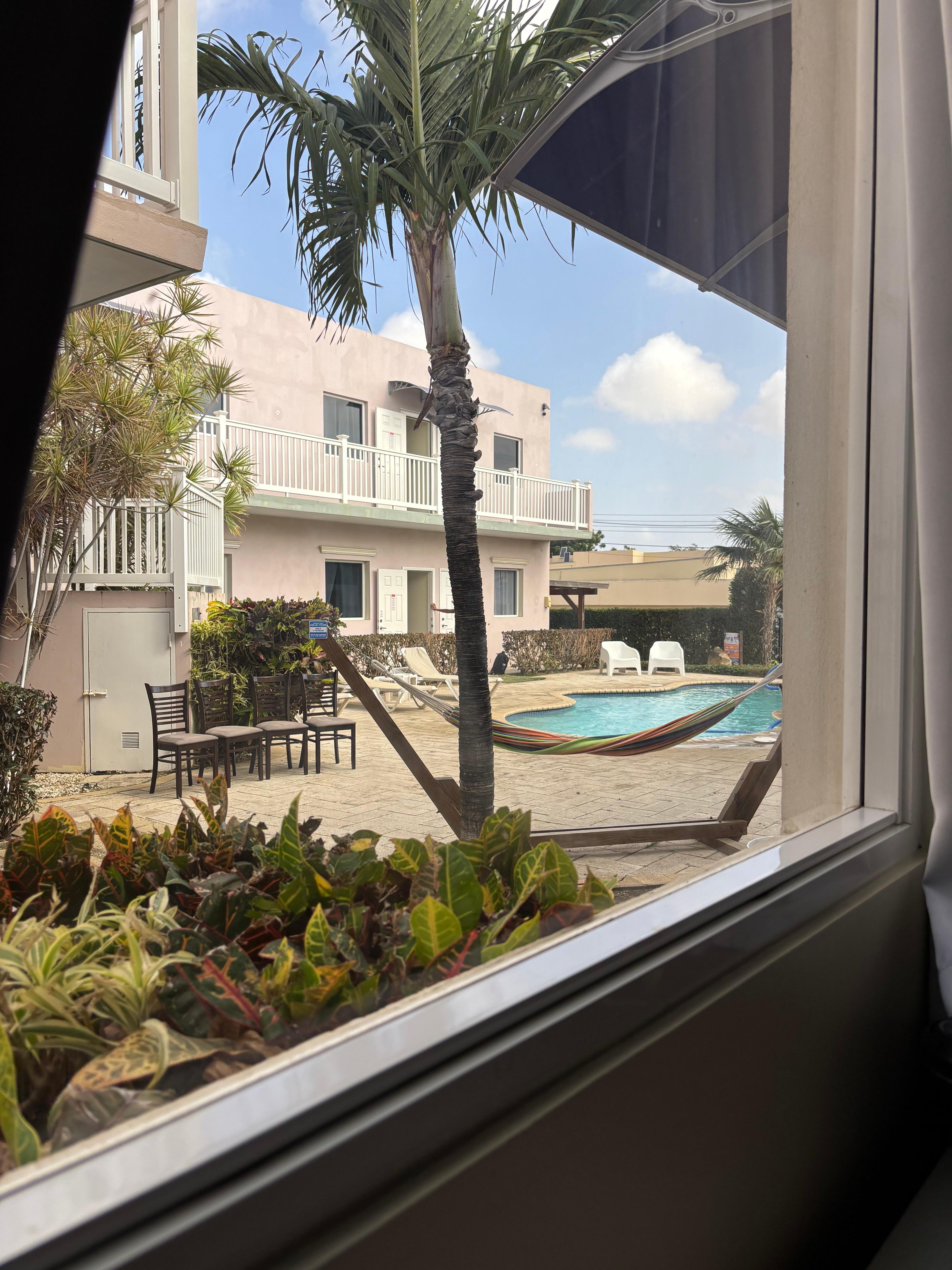 View from the room