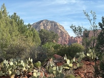 View from the backyard