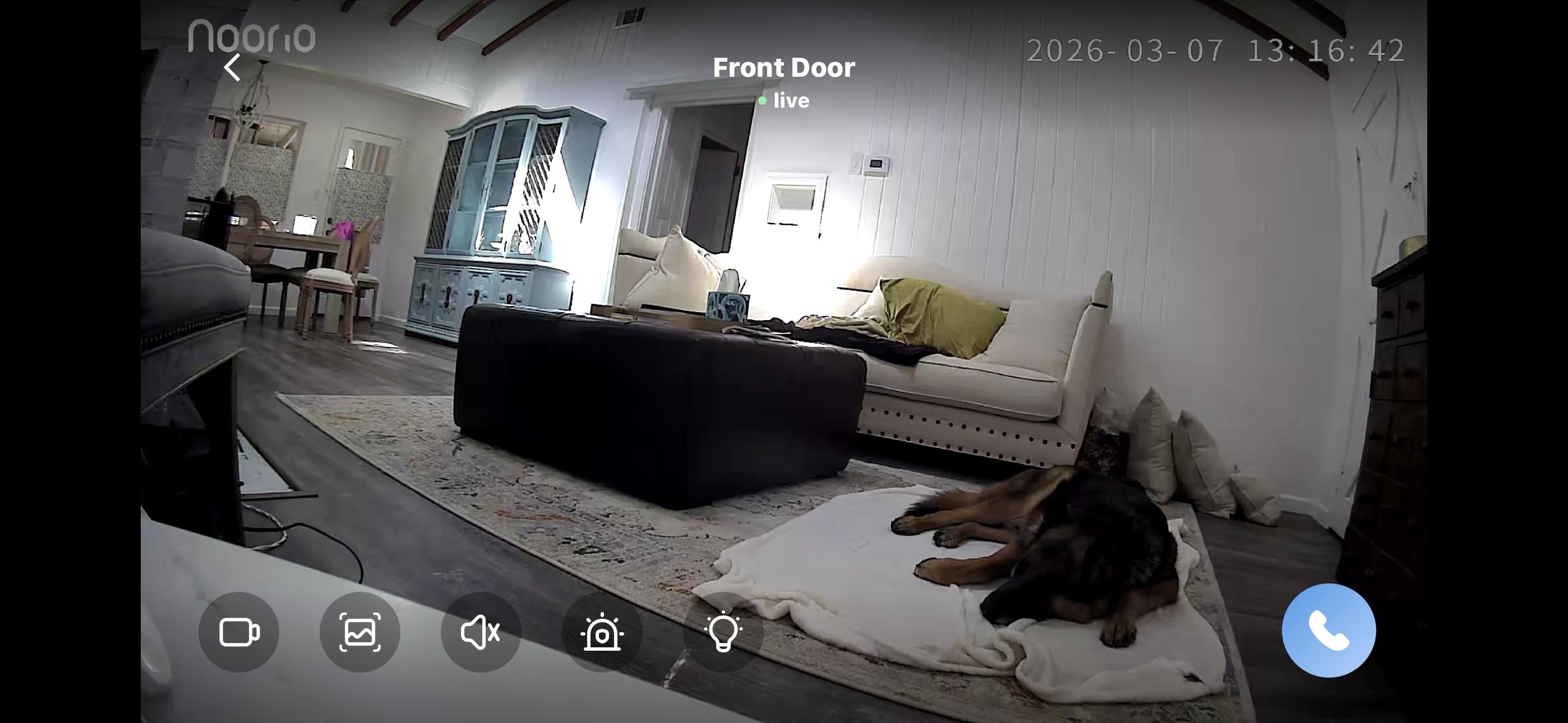 We took our puppy cam, and you can see how comfortable it was for our fur baby!