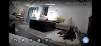 We took our puppy cam, and you can see how comfortable it was for our fur baby!
