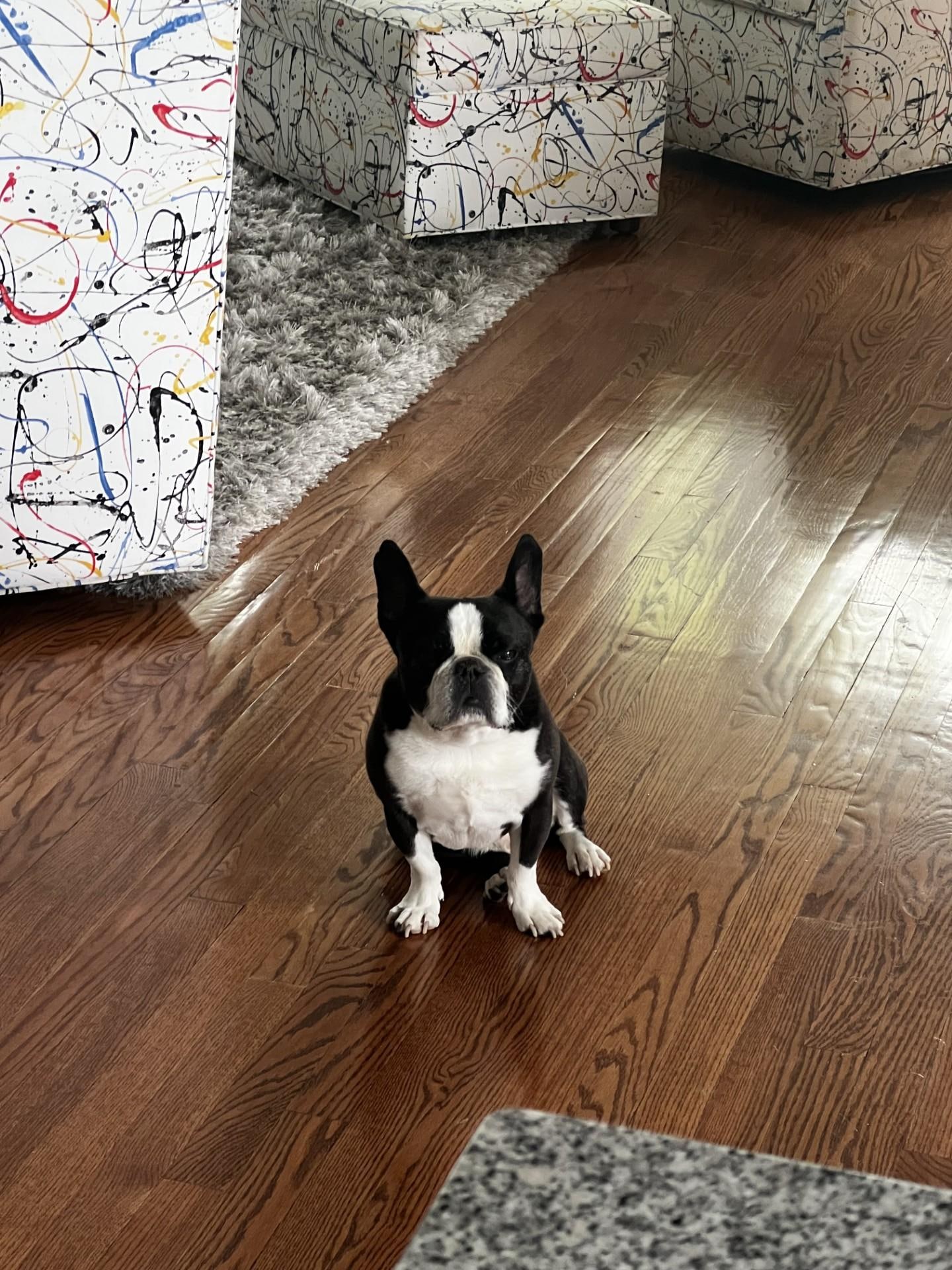 Mack Loved his stay at the 1845 Mansion. 