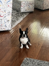 Mack Loved his stay at the 1845 Mansion.