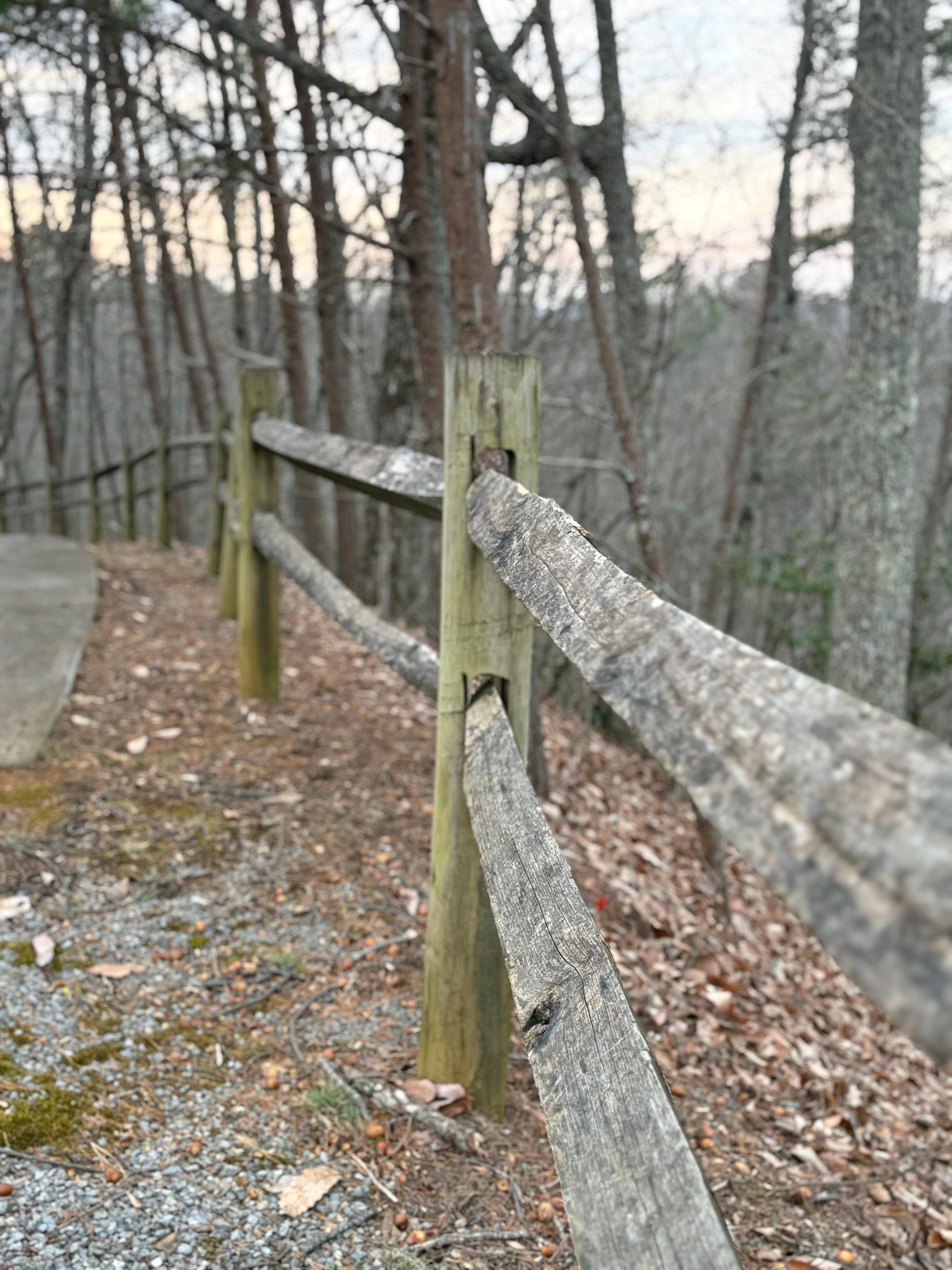 There were 5 other cabins but we felt like we had lots of privacy. 