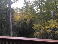 Moose mtn virw from the back porch (perfectly hidden by forest)