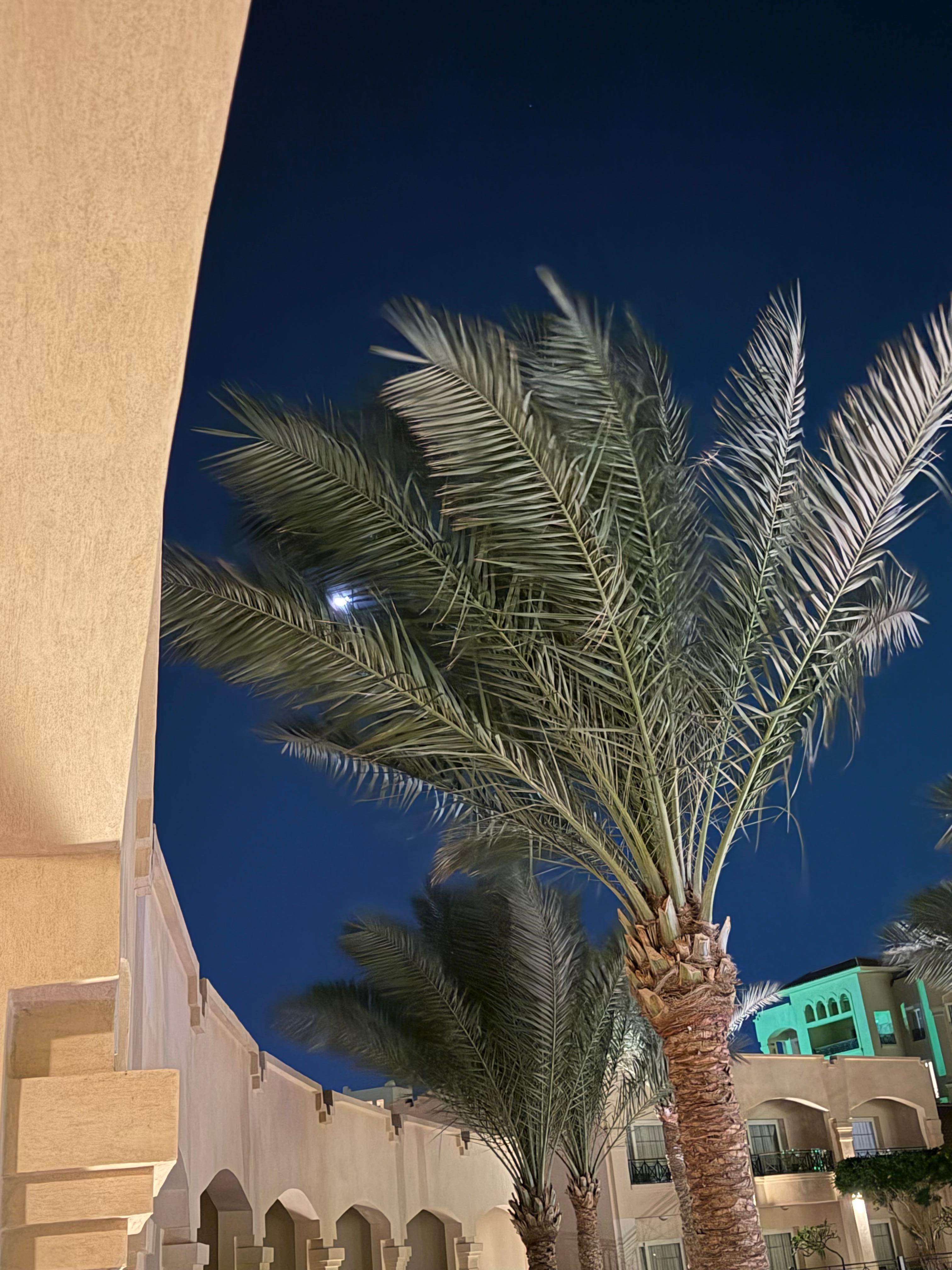 Moon from the balcony