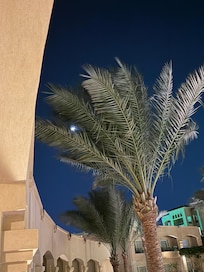 Moon from the balcony