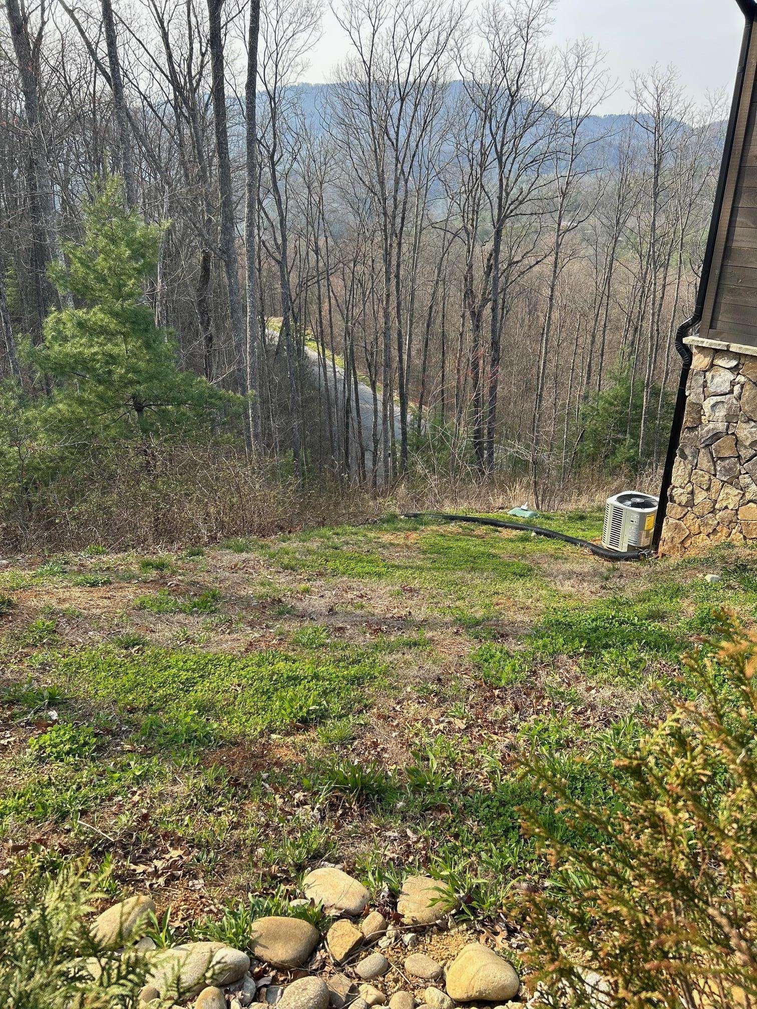 View from side of house