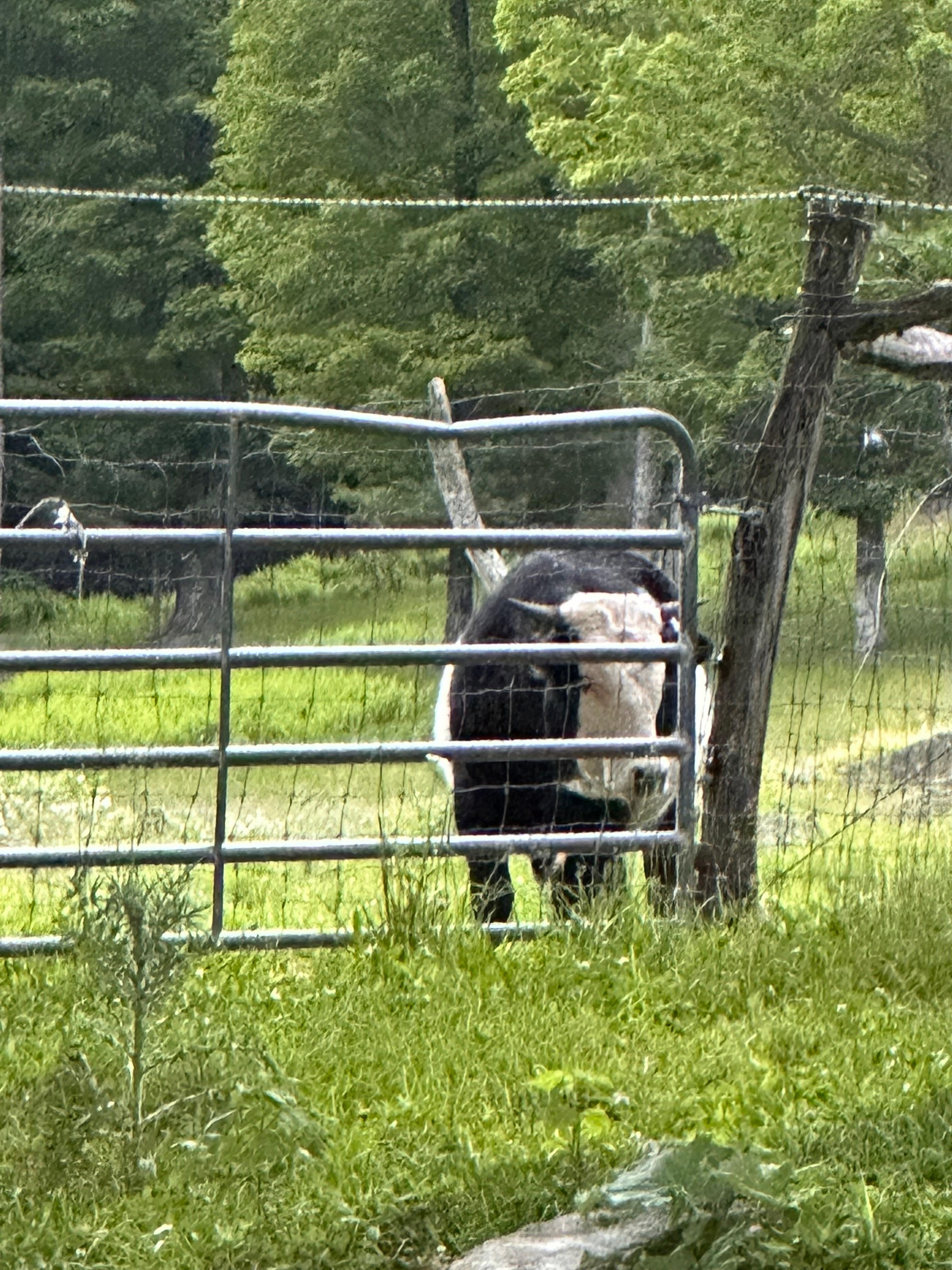 Gentleman’s/
woman’s farm. 