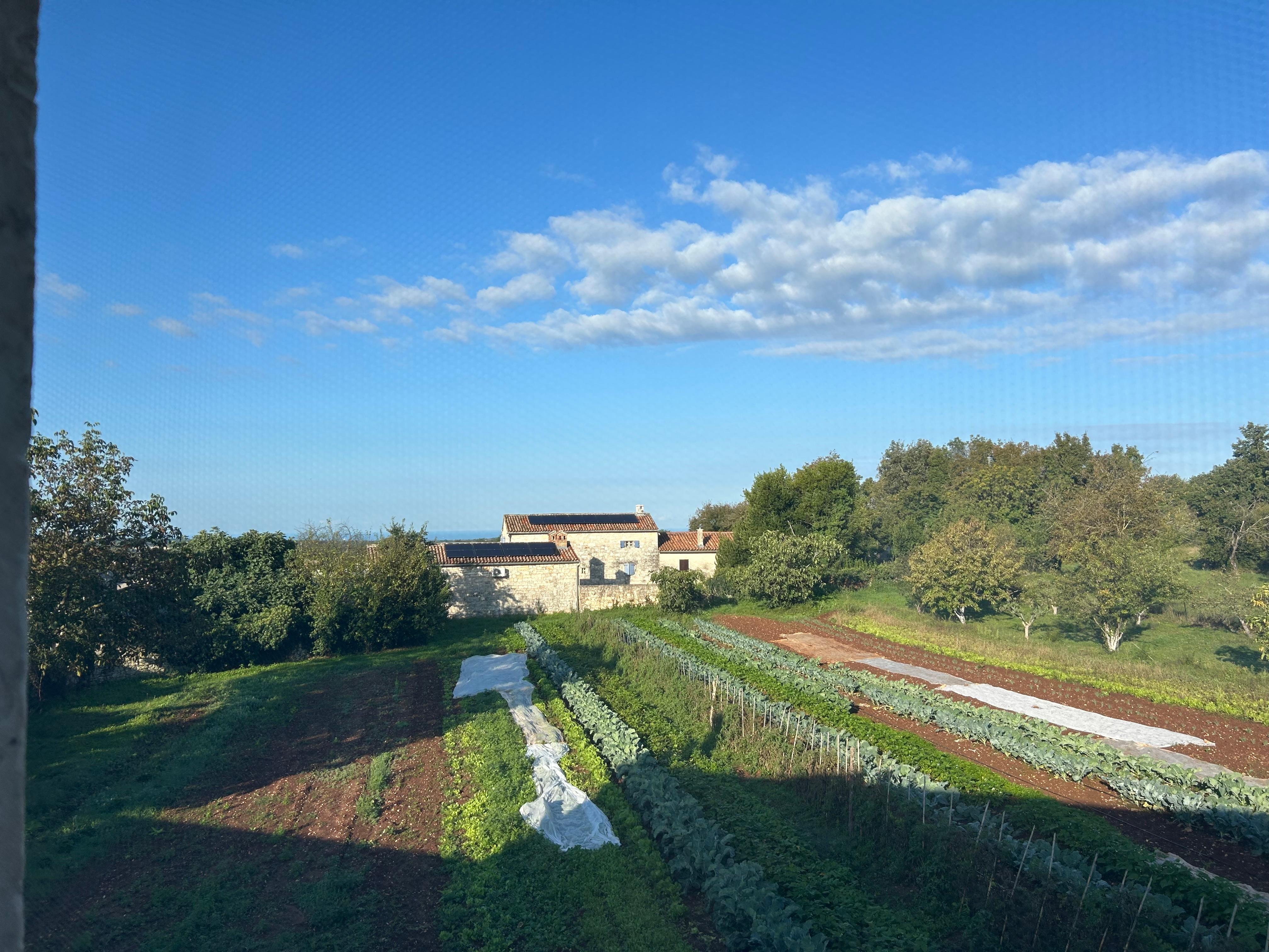 Meerblick vom Badezimmer im 1. Stock aus
