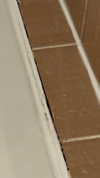 Moisissures sur le seuil de douche