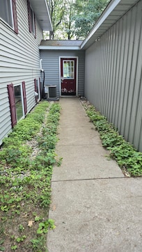 Overgrown weeds in the front of the house