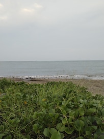 Sin obtaculos, para ver el mar