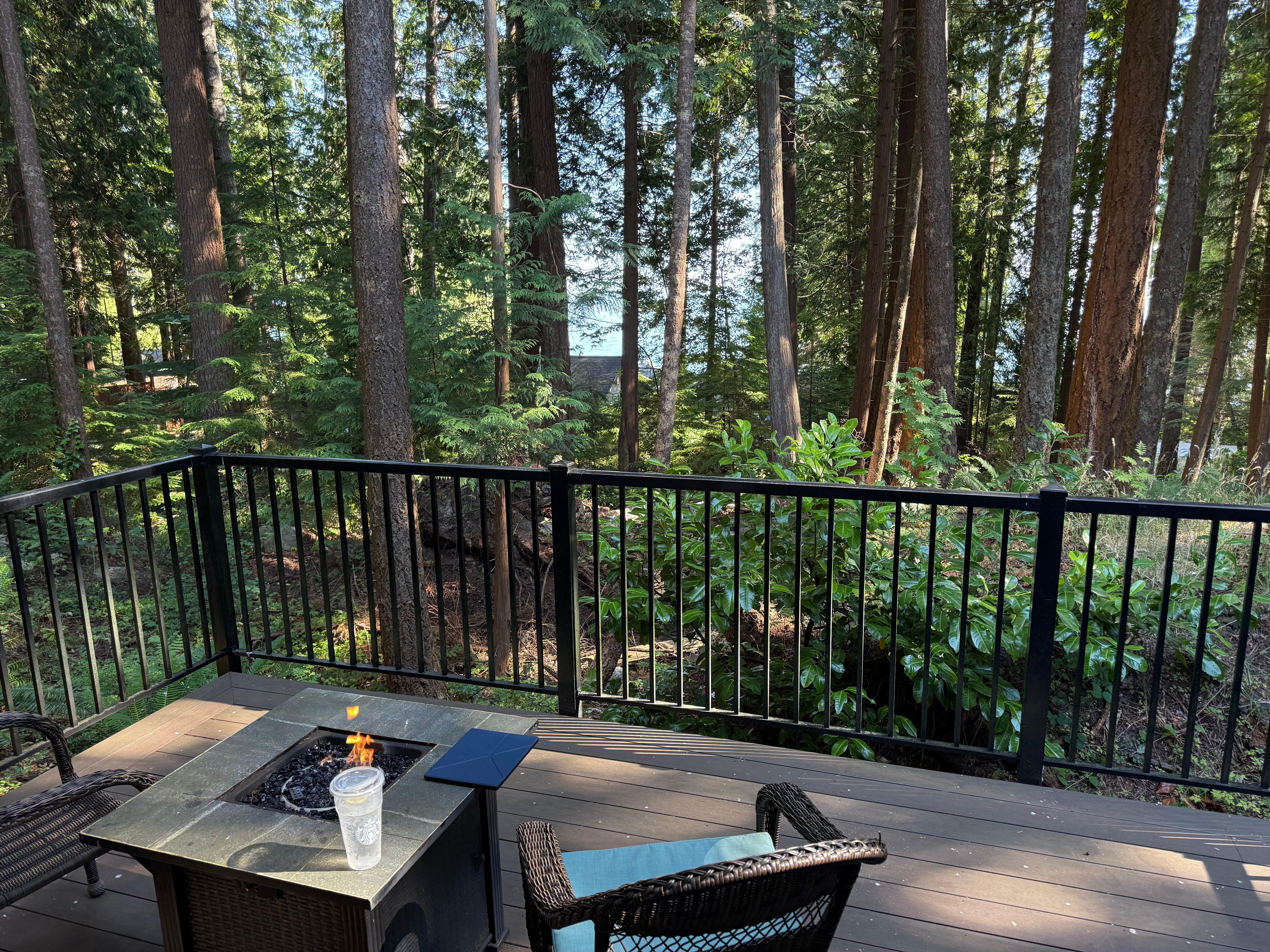 View from patio
