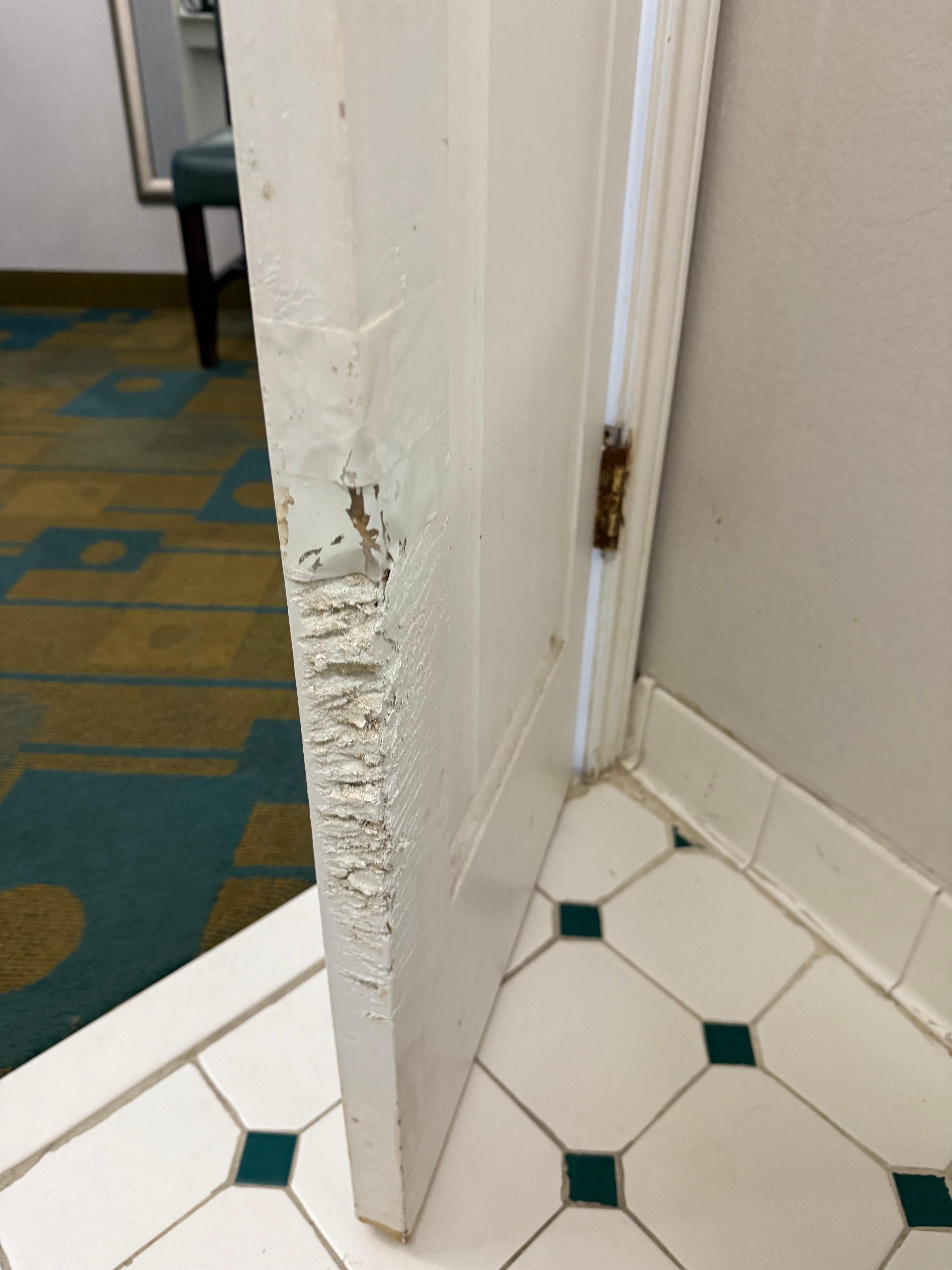Double closet doors they used for a bathroom door that had been chewed all to pieces by an animal