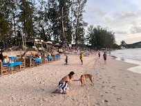 A perfect stretch of restaurants (and cute dogs!!) right from the doorsteps of the hotel!