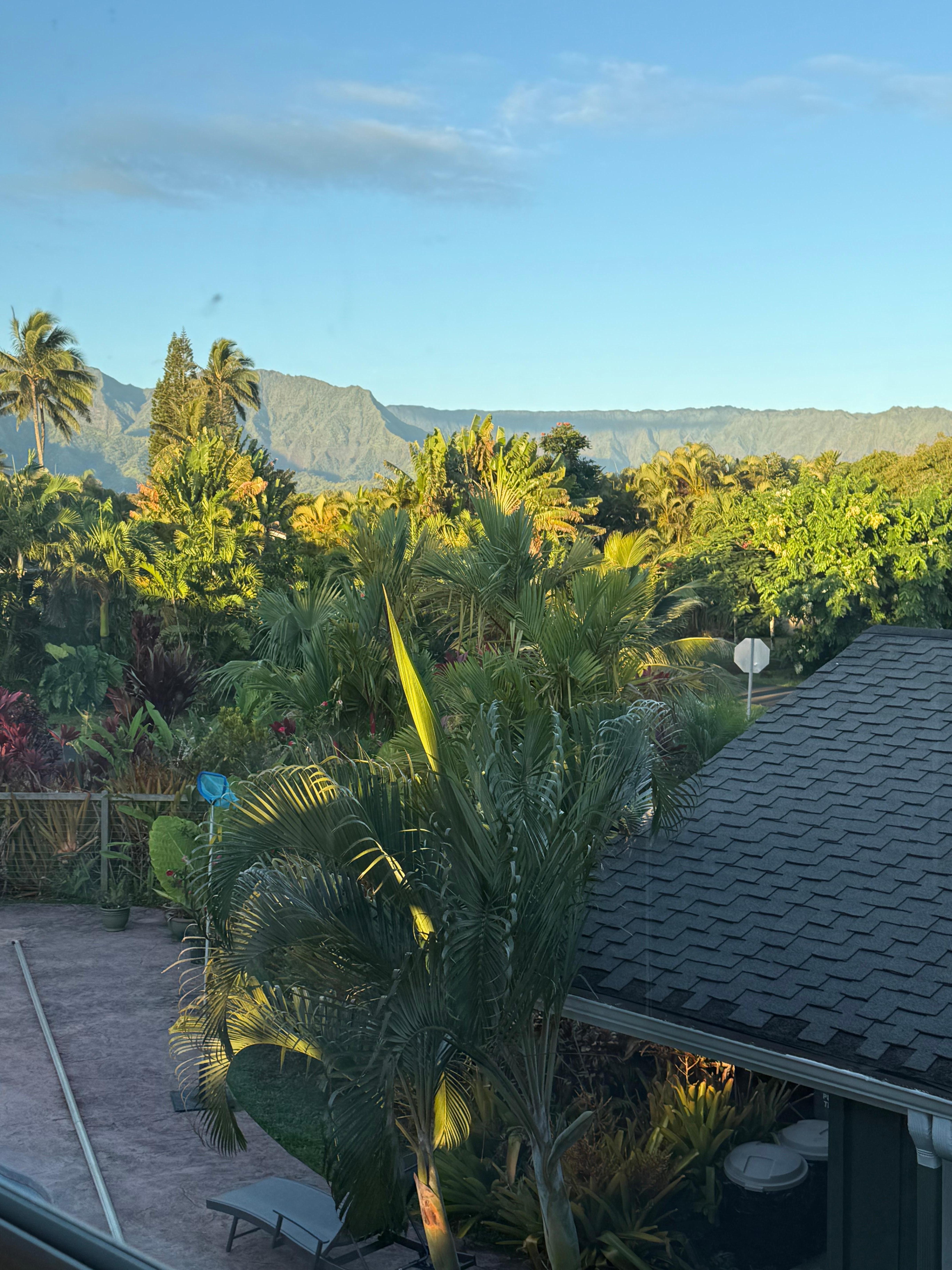 From loft, GREAT view! 