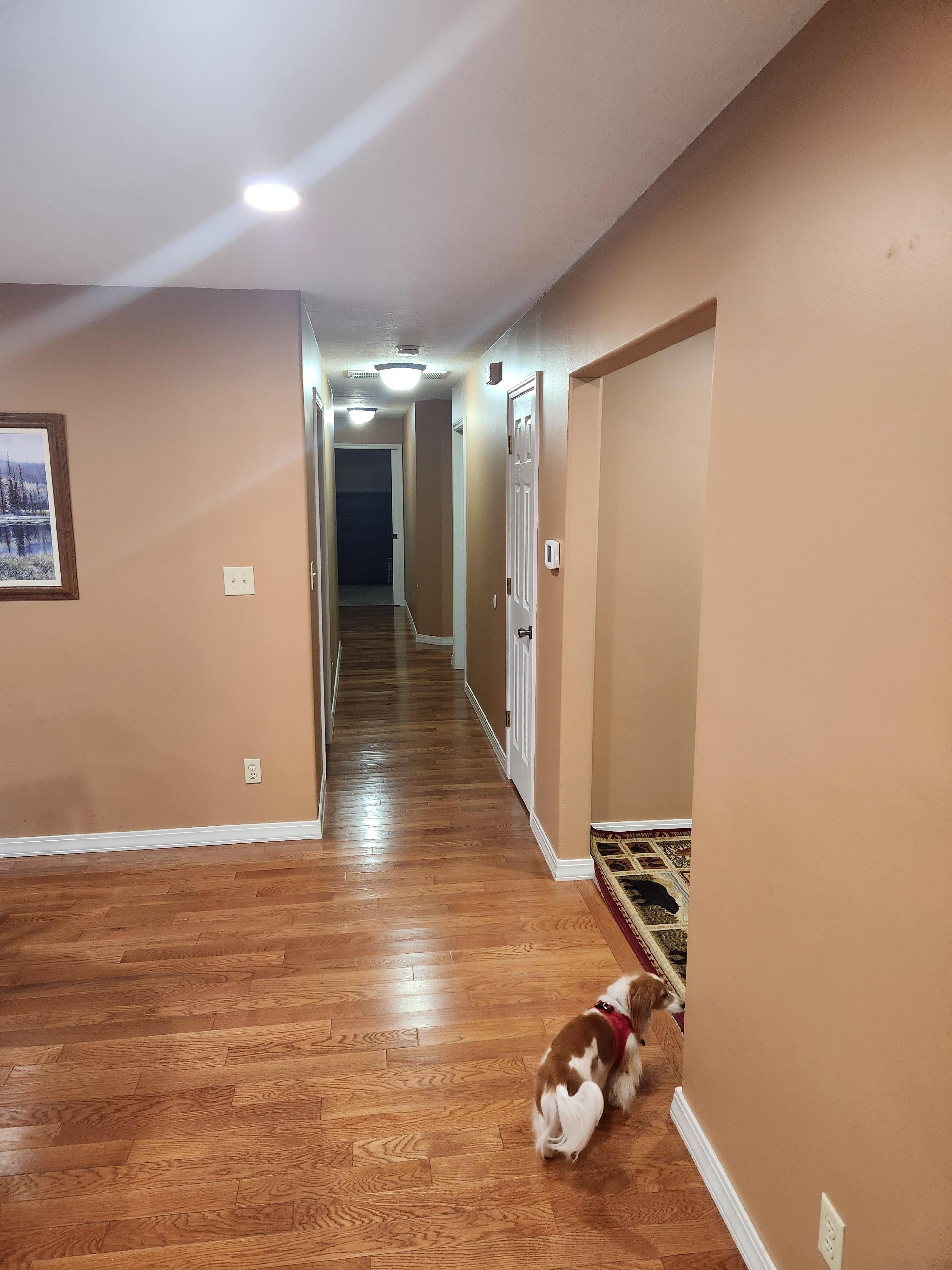 Hallway to bedrooms