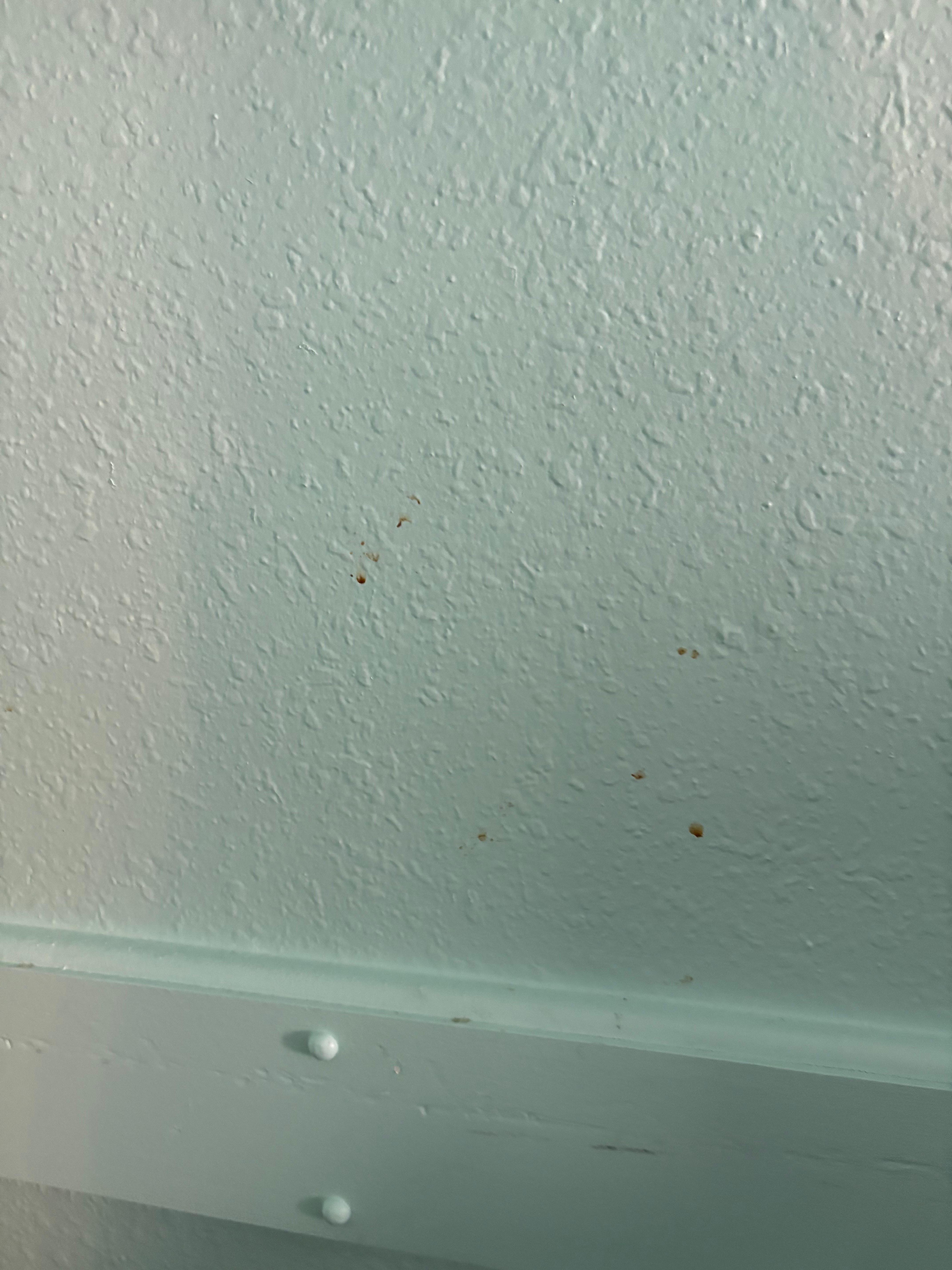 Dining room area nasty wall 