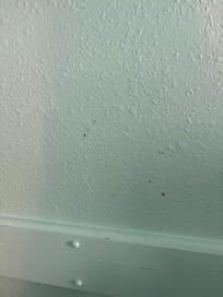 Dining room area nasty wall