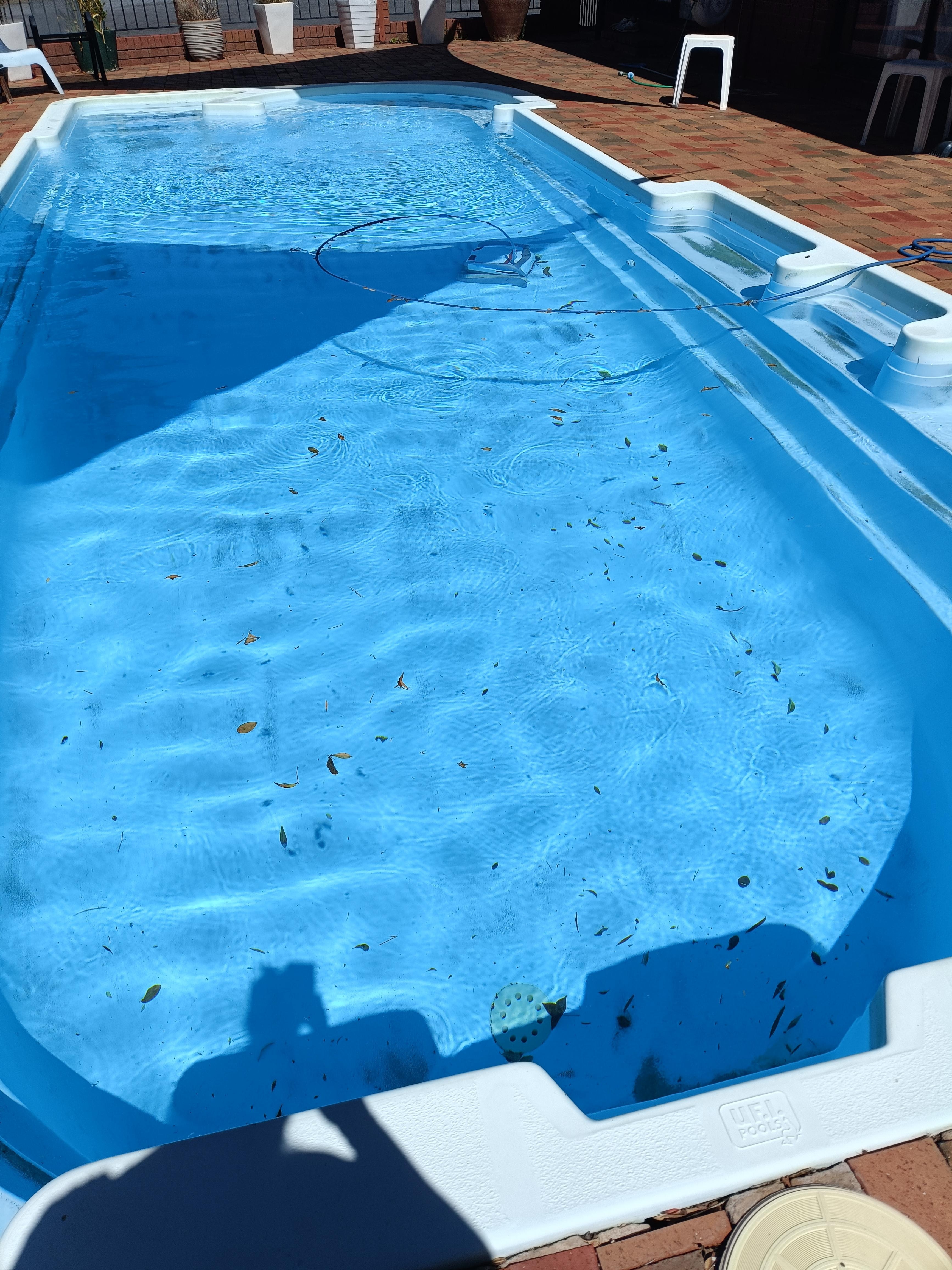 The pool full of leaves and debris including Xmas lights at the bottom