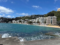 Oriental beach Wellington